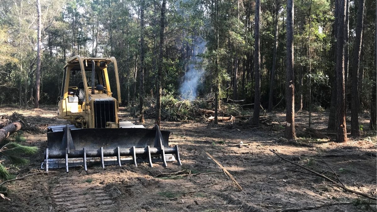 Preparing undeveloped land for home construction with site work pricing considerations